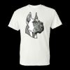 Unisex DryBlend® T-Shirt Thumbnail