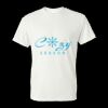 Unisex DryBlend® T-Shirt Thumbnail