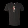 6010 - Next Level Unisex Tri-blend Short Sleeve T-shirt Thumbnail