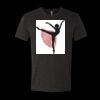 6010 - Next Level Unisex Tri-blend Short Sleeve T-shirt Thumbnail