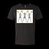 6010 - Next Level Unisex Tri-blend Short Sleeve T-shirt Thumbnail