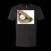 6010 - Next Level Unisex Tri-blend Short Sleeve T-shirt Thumbnail