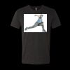 6010 - Next Level Unisex Tri-blend Short Sleeve T-shirt Thumbnail