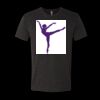 6010 - Next Level Unisex Tri-blend Short Sleeve T-shirt Thumbnail