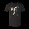 6010 - Next Level Unisex Tri-blend Short Sleeve T-shirt Thumbnail