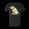 6010 - Next Level Unisex Tri-blend Short Sleeve T-shirt Thumbnail