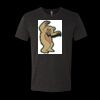 6010 - Next Level Unisex Tri-blend Short Sleeve T-shirt Thumbnail