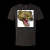 6010 - Next Level Unisex Tri-blend Short Sleeve T-shirt Thumbnail
