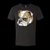 6010 - Next Level Unisex Tri-blend Short Sleeve T-shirt Thumbnail