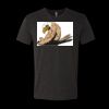 6010 - Next Level Unisex Tri-blend Short Sleeve T-shirt Thumbnail