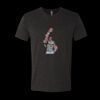 6010 - Next Level Unisex Tri-blend Short Sleeve T-shirt Thumbnail