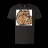 6010 - Next Level Unisex Tri-blend Short Sleeve T-shirt Thumbnail