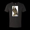 6010 - Next Level Unisex Tri-blend Short Sleeve T-shirt Thumbnail
