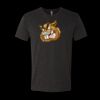 6010 - Next Level Unisex Tri-blend Short Sleeve T-shirt Thumbnail