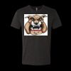6010 - Next Level Unisex Tri-blend Short Sleeve T-shirt Thumbnail