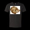 6010 - Next Level Unisex Tri-blend Short Sleeve T-shirt Thumbnail