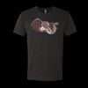 6010 - Next Level Unisex Tri-blend Short Sleeve T-shirt Thumbnail