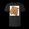 6010 - Next Level Unisex Tri-blend Short Sleeve T-shirt Thumbnail