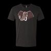 6010 - Next Level Unisex Tri-blend Short Sleeve T-shirt Thumbnail