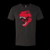 6010 - Next Level Unisex Tri-blend Short Sleeve T-shirt Thumbnail