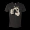 6010 - Next Level Unisex Tri-blend Short Sleeve T-shirt Thumbnail