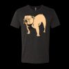 6010 - Next Level Unisex Tri-blend Short Sleeve T-shirt Thumbnail