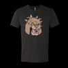 6010 - Next Level Unisex Tri-blend Short Sleeve T-shirt Thumbnail