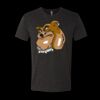 6010 - Next Level Unisex Tri-blend Short Sleeve T-shirt Thumbnail
