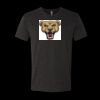 6010 - Next Level Unisex Tri-blend Short Sleeve T-shirt Thumbnail