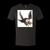 6010 - Next Level Unisex Tri-blend Short Sleeve T-shirt Thumbnail