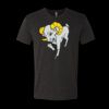 6010 - Next Level Unisex Tri-blend Short Sleeve T-shirt Thumbnail