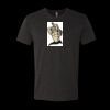 6010 - Next Level Unisex Tri-blend Short Sleeve T-shirt Thumbnail