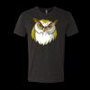 6010 - Next Level Unisex Tri-blend Short Sleeve T-shirt Thumbnail