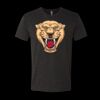 6010 - Next Level Unisex Tri-blend Short Sleeve T-shirt Thumbnail