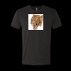 6010 - Next Level Unisex Tri-blend Short Sleeve T-shirt Thumbnail