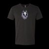 6010 - Next Level Unisex Tri-blend Short Sleeve T-shirt Thumbnail
