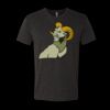 6010 - Next Level Unisex Tri-blend Short Sleeve T-shirt Thumbnail