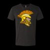 6010 - Next Level Unisex Tri-blend Short Sleeve T-shirt Thumbnail
