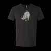 6010 - Next Level Unisex Tri-blend Short Sleeve T-shirt Thumbnail