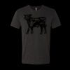 6010 - Next Level Unisex Tri-blend Short Sleeve T-shirt Thumbnail