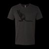 6010 - Next Level Unisex Tri-blend Short Sleeve T-shirt Thumbnail