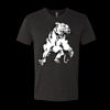 6010 - Next Level Unisex Tri-blend Short Sleeve T-shirt Thumbnail