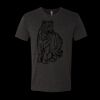 6010 - Next Level Unisex Tri-blend Short Sleeve T-shirt Thumbnail