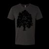 6010 - Next Level Unisex Tri-blend Short Sleeve T-shirt Thumbnail