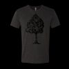 6010 - Next Level Unisex Tri-blend Short Sleeve T-shirt Thumbnail