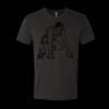 6010 - Next Level Unisex Tri-blend Short Sleeve T-shirt Thumbnail