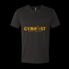 6010 - Next Level Unisex Tri-blend Short Sleeve T-shirt Thumbnail