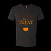 6010 - Next Level Unisex Tri-blend Short Sleeve T-shirt Thumbnail