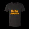 6010 - Next Level Unisex Tri-blend Short Sleeve T-shirt Thumbnail