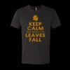 6010 - Next Level Unisex Tri-blend Short Sleeve T-shirt Thumbnail